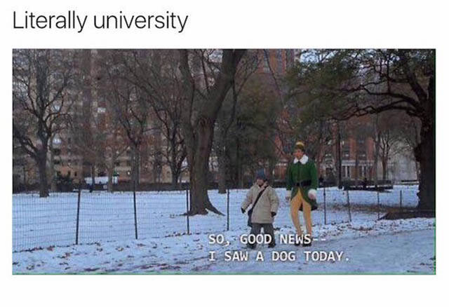 The Truth About What College Life Is Like During Finals (30 pics)