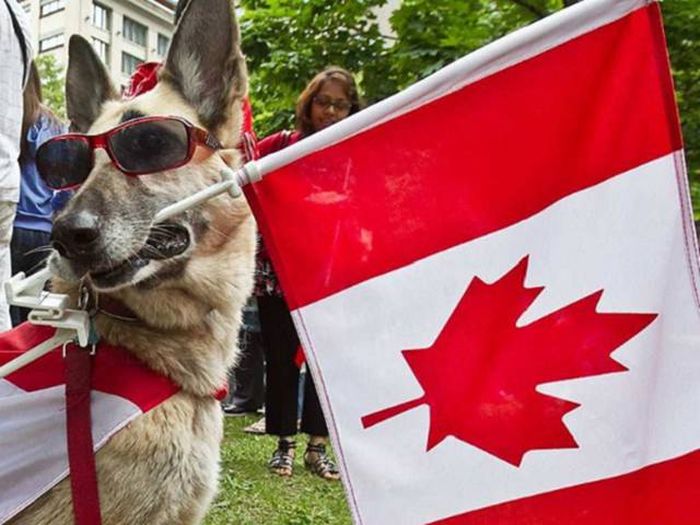 Things That Were Only Ever Meant To Happen In Canada (47 pics)