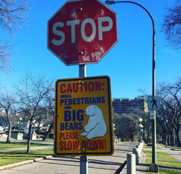 Things That Were Only Ever Meant To Happen In Canada (47 pics)