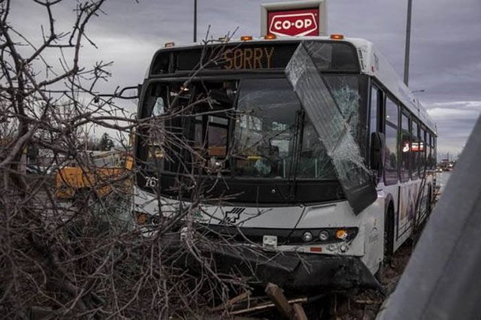 Things That Were Only Ever Meant To Happen In Canada (47 pics)