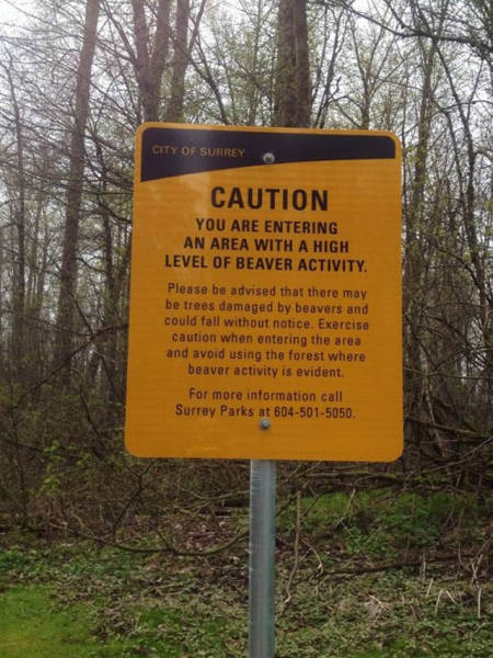 Things That Were Only Ever Meant To Happen In Canada (47 pics)