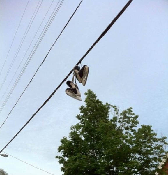 Things That Were Only Ever Meant To Happen In Canada (47 pics)