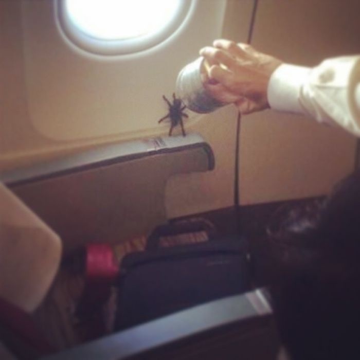 Shameless Passengers Who Made Flights Unbearable For Everyone Else (24 pics)