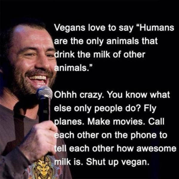 Hilarious Stand Up Comedy Jokes That Will Make Your Day (29 pics)