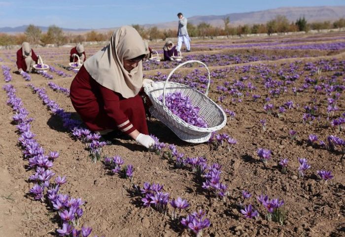 A Look At The Life And Times Of People In Afghanistan (25 pics)