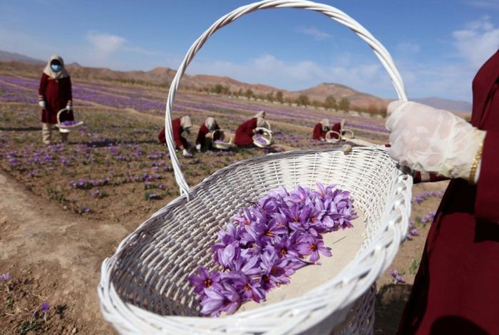 A Look At The Life And Times Of People In Afghanistan (25 pics)