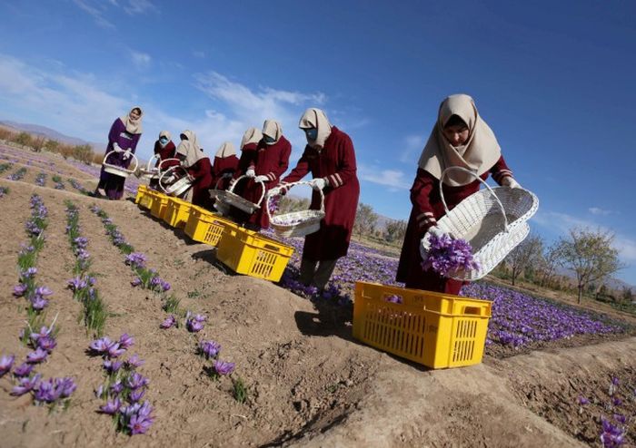A Look At The Life And Times Of People In Afghanistan (25 pics)