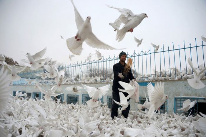 A Look At The Life And Times Of People In Afghanistan (25 pics)