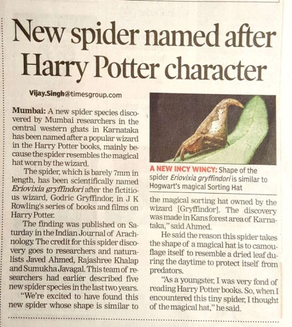 New Spider Gets Named After Harry Potter Character (3 pics)