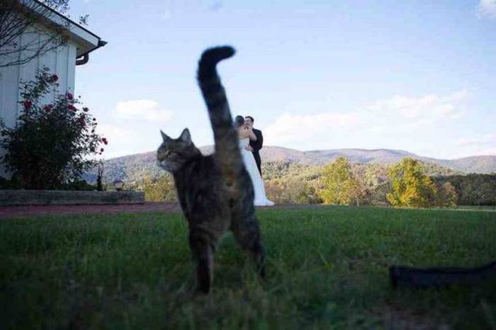 Acid Picdump (115 pics)