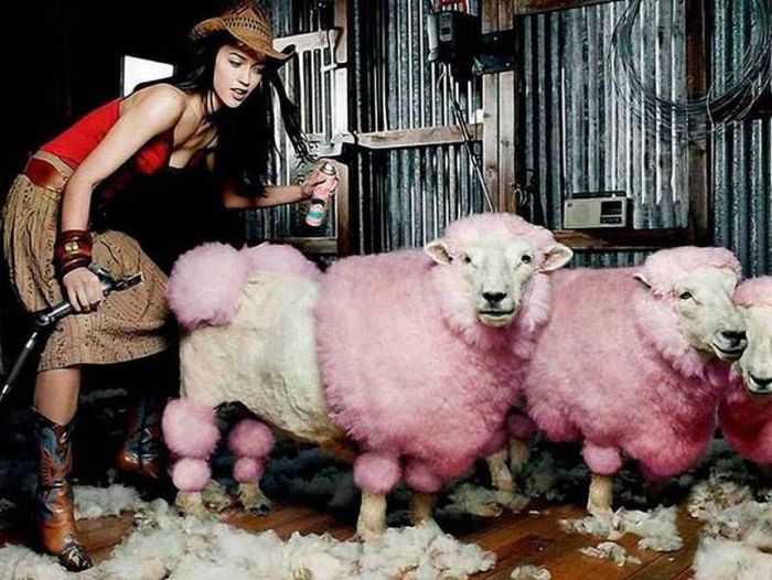 Acid Picdump (115 pics)