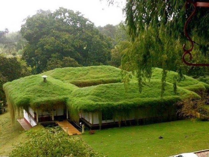 Acid Picdump (115 pics)