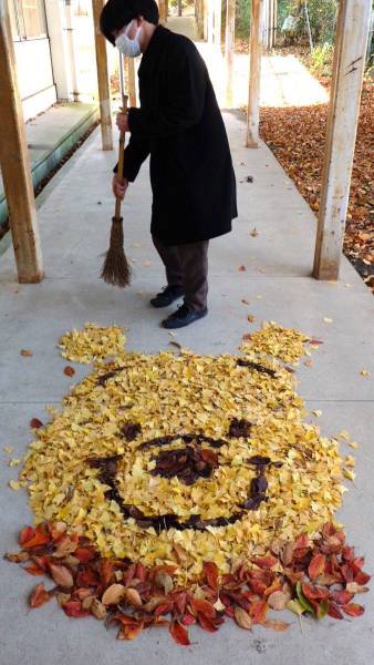 Acid Picdump (115 pics)