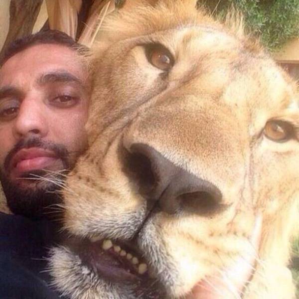 Acid Picdump (115 pics)
