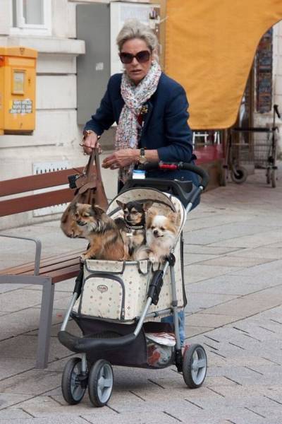 Acid Picdump (115 pics)