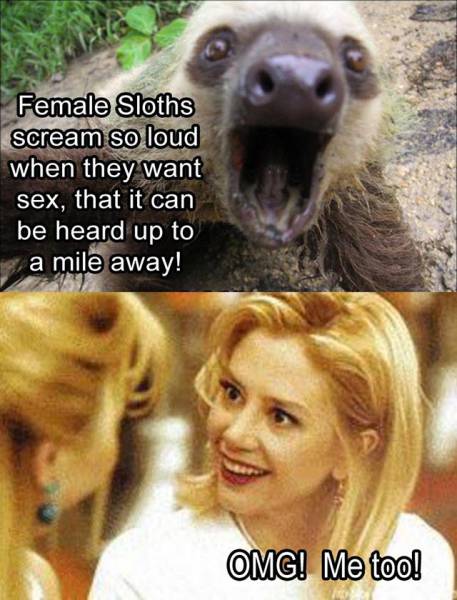 Acid Picdump (115 pics)