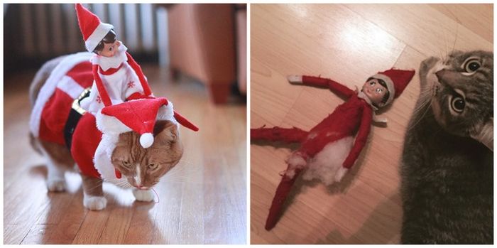 Hilarious Pinterest Fails With A Christmas Theme (30 pics)