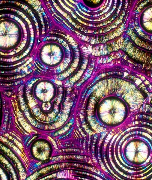 Spirits And Cocktails That Look Absolutely Kickass Under The Microscope (32 pics)