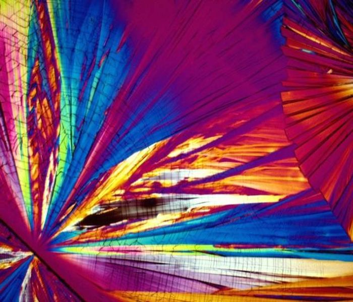 Spirits And Cocktails That Look Absolutely Kickass Under The Microscope (32 pics)