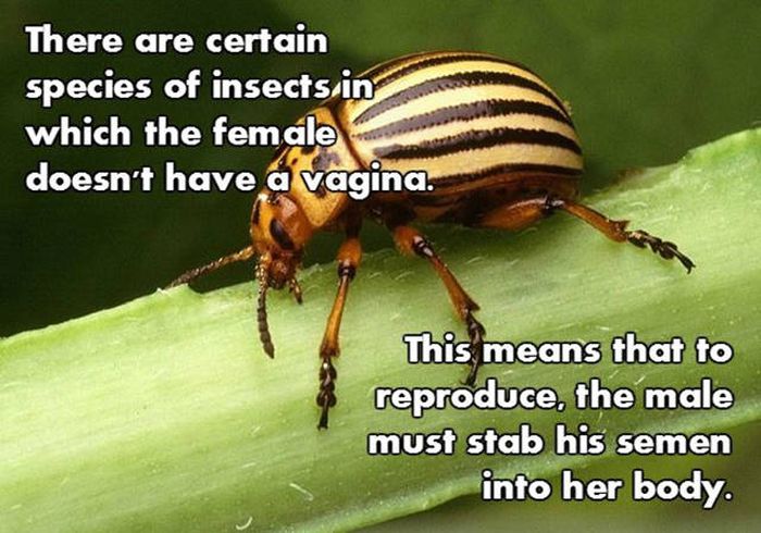 Prepare To Be Blown Away By These NSFW Facts (18 pics)