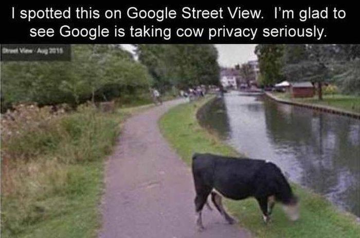Acid Picdump (106 pics)