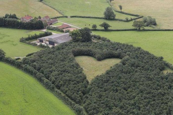 Acid Picdump (106 pics)