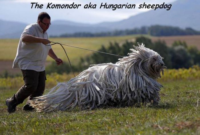Acid Picdump (106 pics)