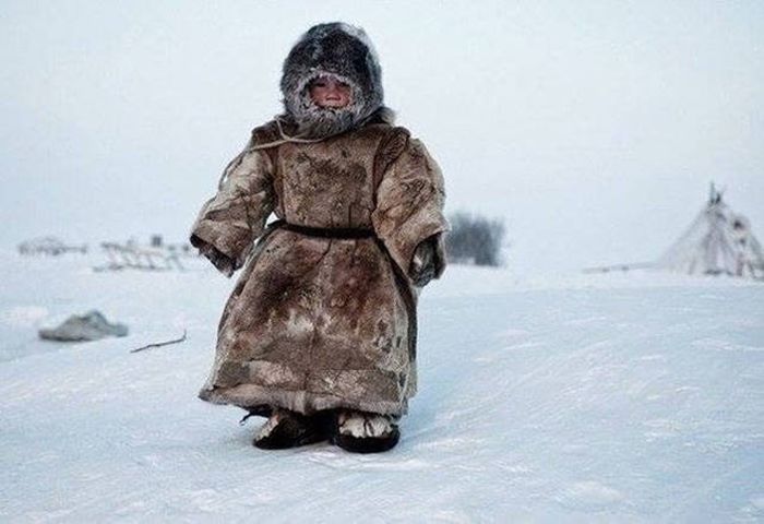 Acid Picdump (106 pics)