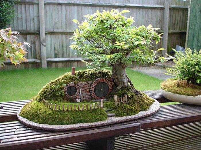 Acid Picdump (106 pics)