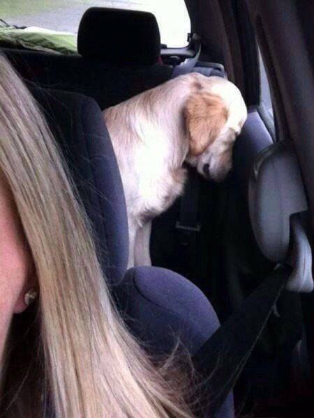 Acid Picdump (106 pics)