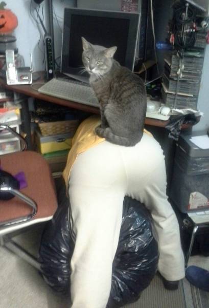 Acid Picdump (106 pics)