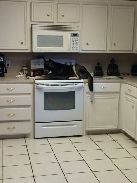 Acid Picdump (106 pics)