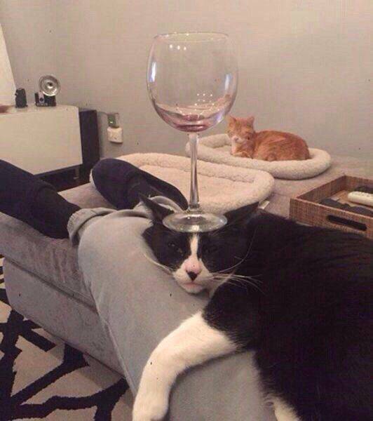 Acid Picdump (106 pics)