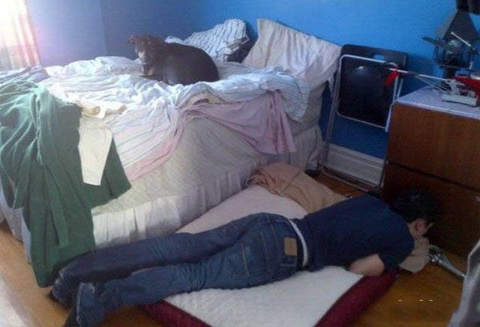 Pictures That Show Who's The Boss And Who's The Slave (40 pics)