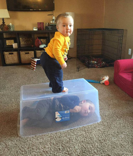 Pictures That Show Who's The Boss And Who's The Slave (40 pics)