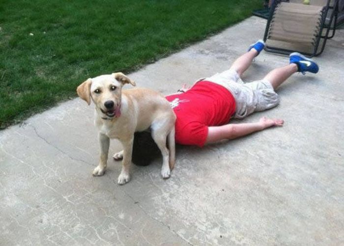 Pictures That Show Who's The Boss And Who's The Slave (40 pics)