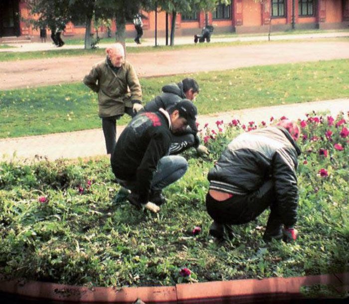 Pictures That Show Who's The Boss And Who's The Slave (40 pics)