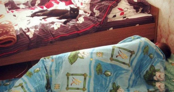 Pictures That Show Who's The Boss And Who's The Slave (40 pics)