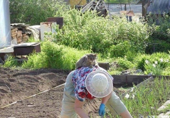 Pictures That Show Who's The Boss And Who's The Slave (40 pics)