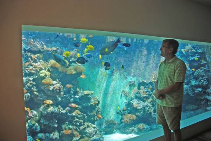 Man Builds An Aquarium Where He Can Scuba Dive With Fish (12 pics)