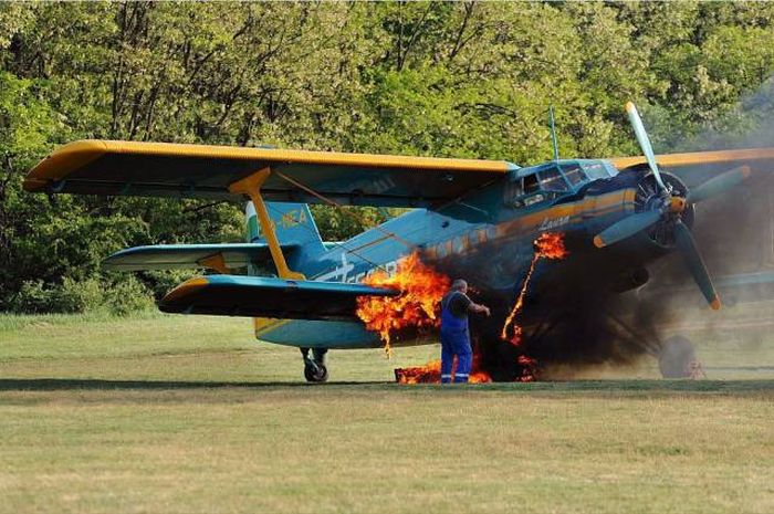 Acid Picdump (110 pics)