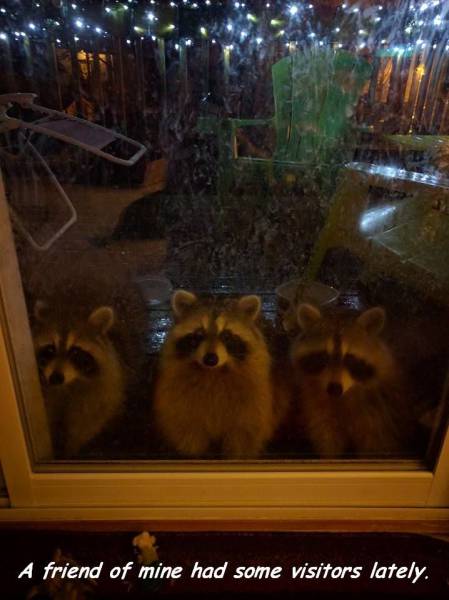 Acid Picdump (110 pics)