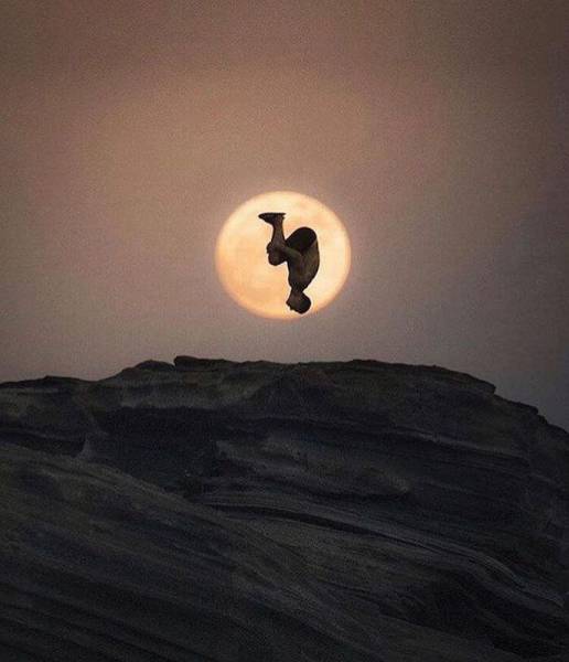 Acid Picdump (110 pics)