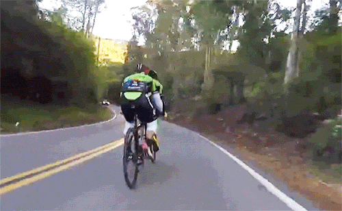 Close Call Gifs That Will Make You Gasp (20 gifs)