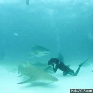 Close Call Gifs That Will Make You Gasp (20 gifs)