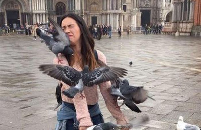 Woman Tries To Take A Photo With The Pigeons At St. Mark's Cathedral (2 pics)
