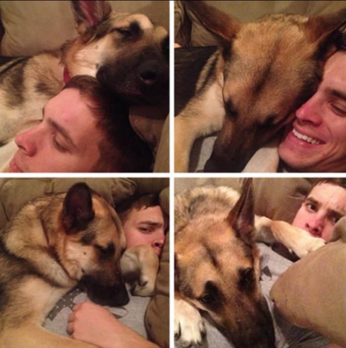 Funny Dogs That Are Impossible Not To Laugh At (24 pics)
