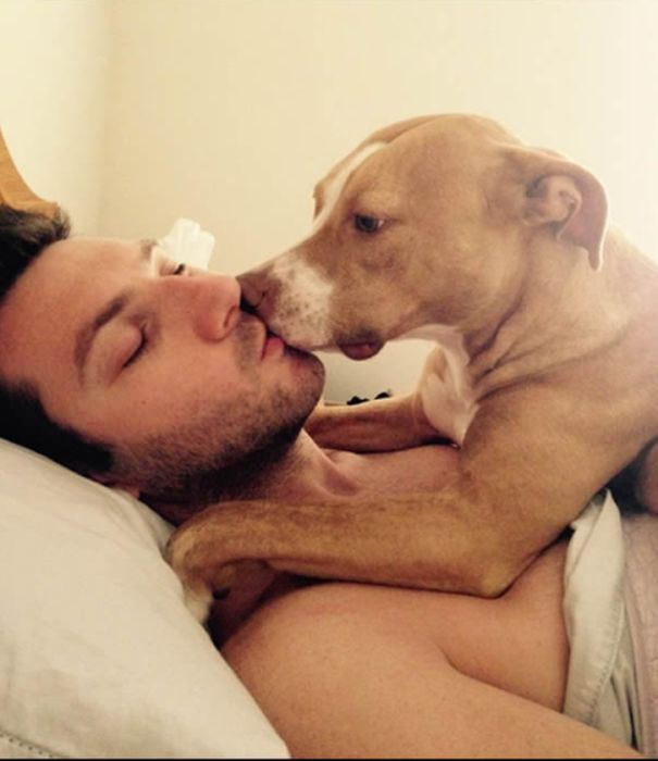 Funny Dogs That Are Impossible Not To Laugh At (24 pics)
