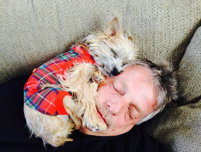 Funny Dogs That Are Impossible Not To Laugh At (24 pics)