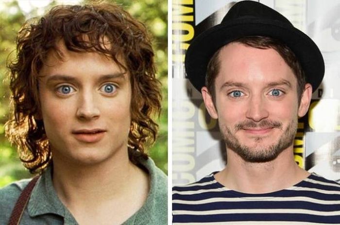 Here's What The Cast Of Lord Of The Rings Looks Like 15 Years Later (16 pics)
